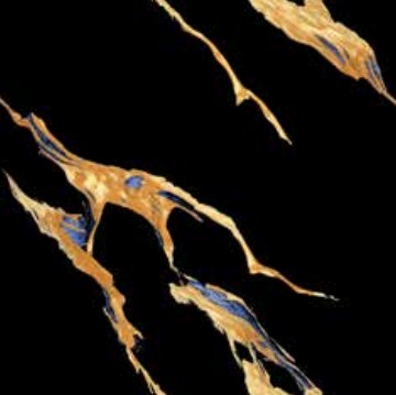 PLATINUM 60X60 REC SEVILLE BLACK